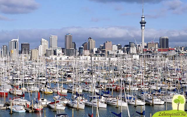 Удивительный город Окленд в Новой Зеландии - 3