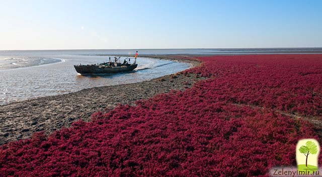 Пляж в китае фото