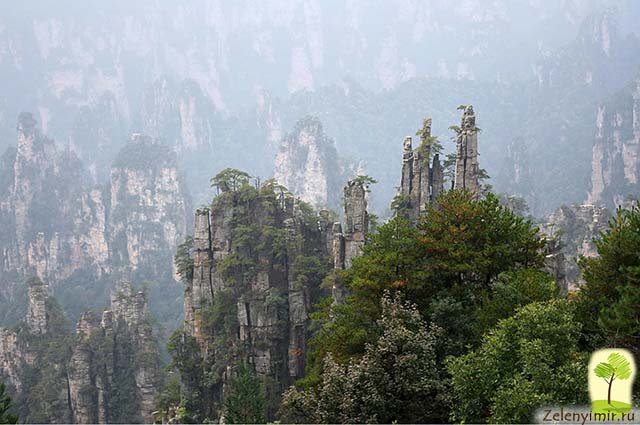 Мост бессмертных на горе Хуаншань из фильма "Аватар", Китай - 13