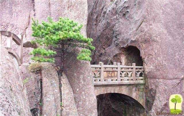 Мост бессмертных на горе Хуаншань из фильма "Аватар", Китай - 2