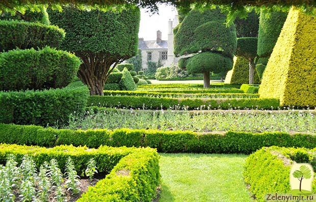 Сад Левенс Холл – самый красивый и самый ароматный сад в мире, Англия - 10