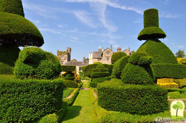 Сад Левенс Холл – самый красивый и самый ароматный сад в мире, Англия - 11