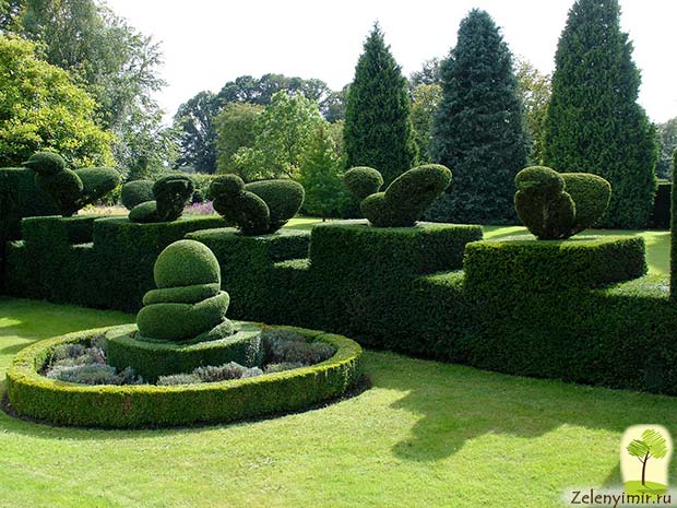 Сад Левенс Холл – самый красивый и самый ароматный сад в мире, Англия - 5
