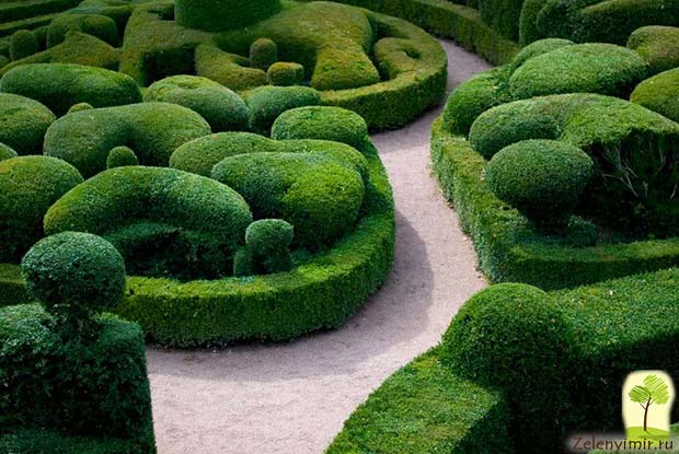 Сад Левенс Холл – самый красивый и самый ароматный сад в мире, Англия - 6