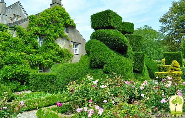 Сад Левенс Холл – самый красивый и самый ароматный сад в мире, Англия - 7