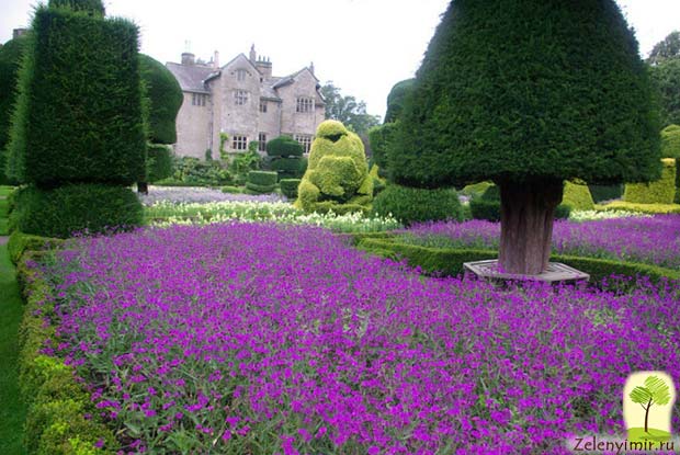 Сад Левенс Холл – самый красивый и самый ароматный сад в мире, Англия - 8
