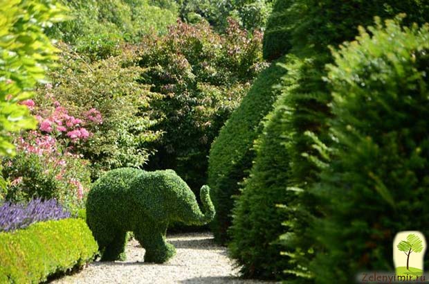 Сад Левенс Холл – самый красивый и самый ароматный сад в мире, Англия - 9