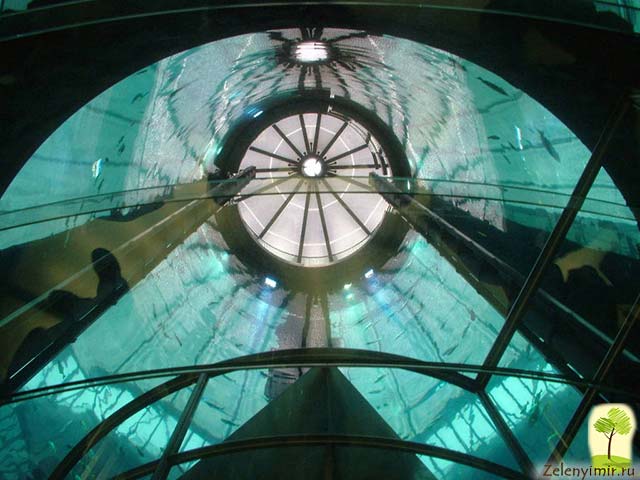 Самый огромный аквариум в мире - "Аквадом" в Берлине, Германия - 13