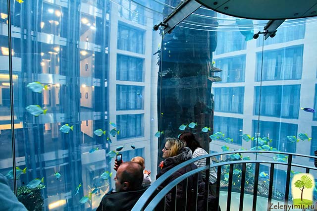 Самый огромный аквариум в мире - "Аквадом" в Берлине, Германия - 14