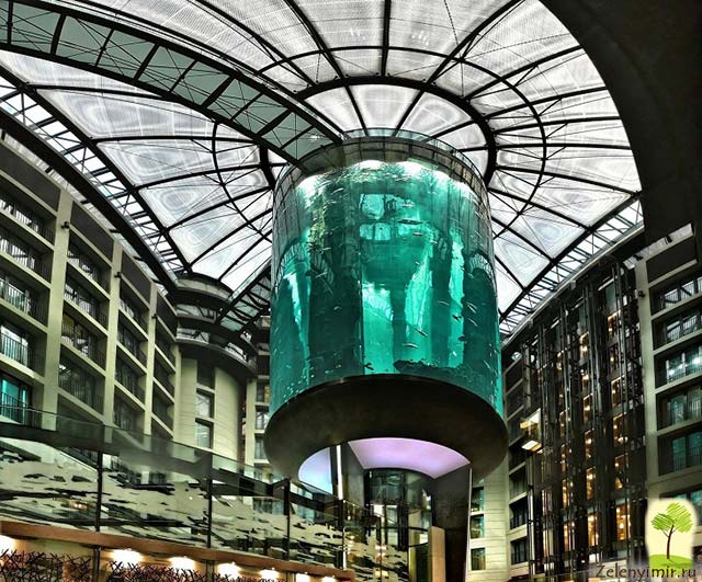 Самый огромный аквариум в мире - "Аквадом" в Берлине, Германия - 15