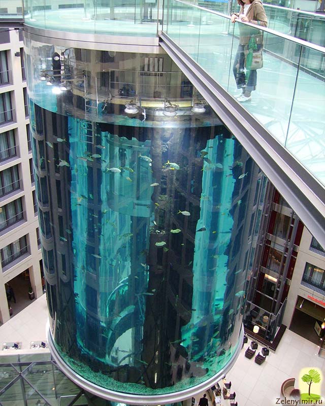 Самый огромный аквариум в мире - "Аквадом" в Берлине, Германия - 16