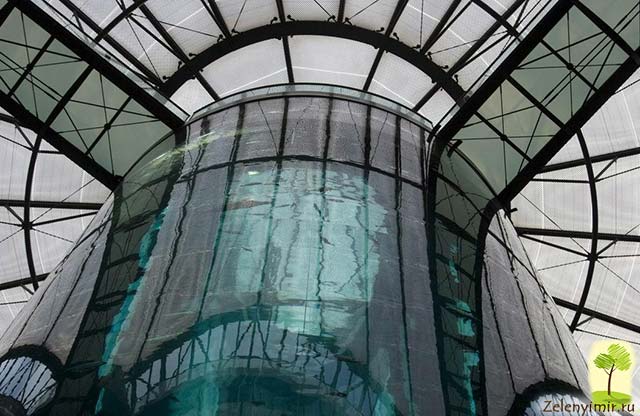 Самый огромный аквариум в мире - "Аквадом" в Берлине, Германия - 6