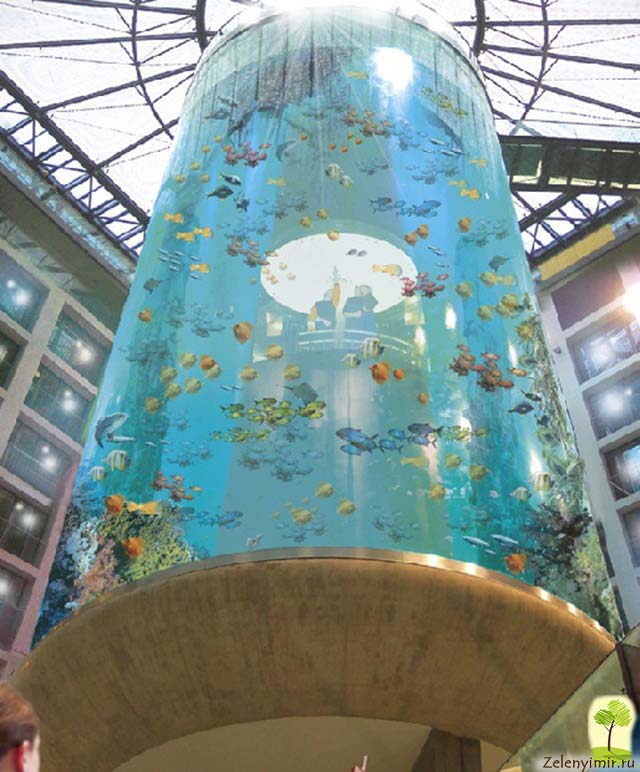 Самый огромный аквариум в мире - "Аквадом" в Берлине, Германия - 7