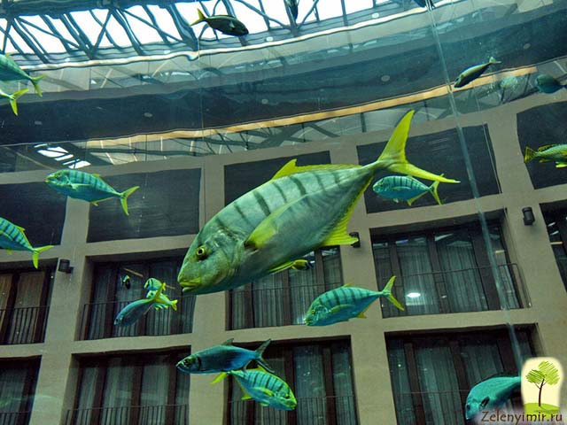 Самый огромный аквариум в мире - "Аквадом" в Берлине, Германия - 8