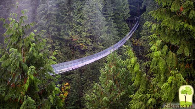 мост капилано канада