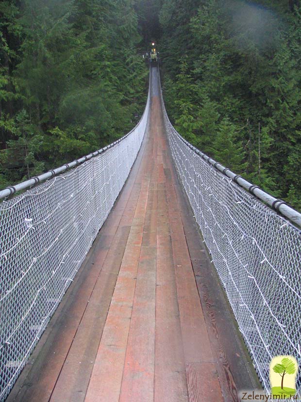 висячий мост капилано ванкувер канада