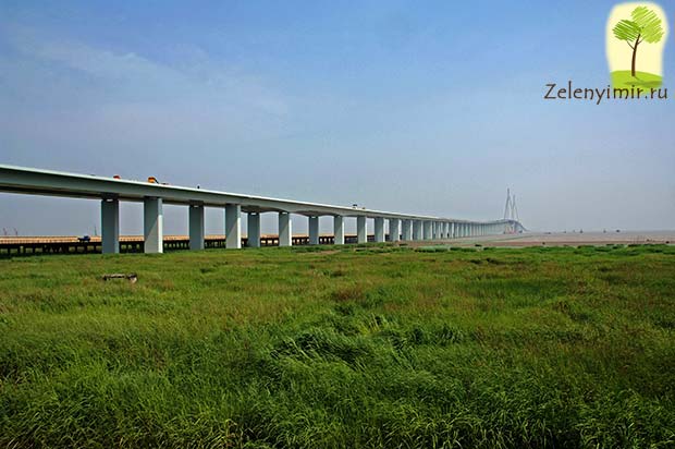 Мост через залив Ханчжоувань - один из самых длинных мостов мира - 5
