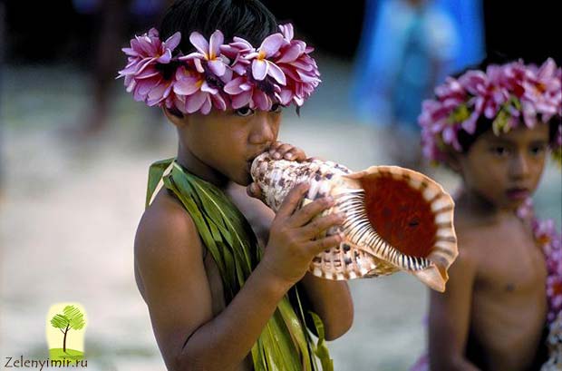 Райский остров Муреа в виде сердца, Французская Полинезия - 9