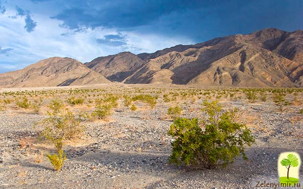 Таинственная Долина Смерти и феномен движущихся камней, США - 3