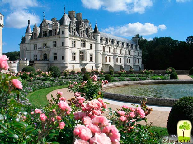 Восхитительный дамский замок Шенонсо во Франции - 2