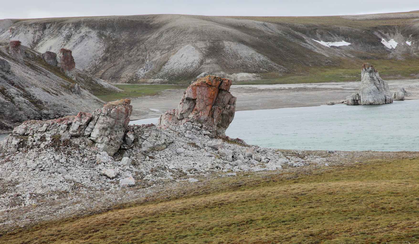 Большой арктический заповедник растения фото и названия