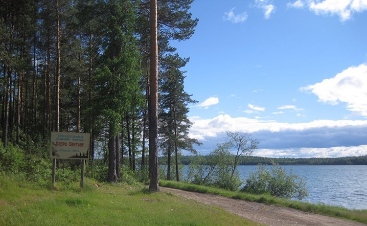 Местоположение озера Светлое Алтайского края